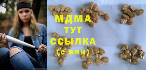 шишки Ельня